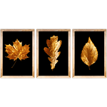 Conjunto 18 - Imagem Preto e Dourado com 3 Quadros - Com Moldura - Preto, Marrom, Rústica ou Branco