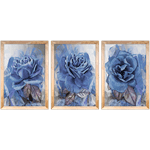 Conjunto 25 - Imagem Preto e Dourado com 3 Quadros - Com Moldura - Preto, Marrom, Rústica ou Branco