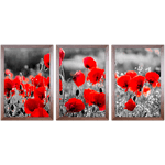 Conjunto 35 - Imagem Preto e Dourado com 3 Quadros - Com Moldura - Preto, Marrom, Rústica ou Branco