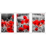 Conjunto 35 - Imagem Preto e Dourado com 3 Quadros - Com Moldura - Preto, Marrom, Rústica ou Branco