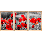 Conjunto 35 - Imagem Preto e Dourado com 3 Quadros - Com Moldura - Preto, Marrom, Rústica ou Branco