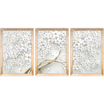 Conjunto 36 - Imagem Preto e Dourado com 3 Quadros - Com Moldura - Preto, Marrom, Rústica ou Branco