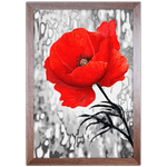 Floral 02 - Quadro com Moldura - Preto, Marrom, Rústica ou Branco