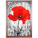 Floral 03 - Quadro com Moldura - Preto, Marrom, Rústica ou Branco