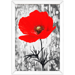 Floral 04 - Quadro com Moldura - Preto, Marrom, Rústica ou Branco