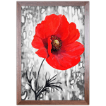 Floral 05 - Quadro com Moldura - Preto, Marrom, Rústica ou Branco