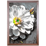 Floral 17 - Quadro com Moldura - Preto, Marrom, Rústico ou Branco