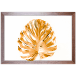 Floral 28 - Quadro com Moldura - Preto, Marrom, Rústico ou Branco