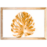 Floral 28 - Quadro com Moldura - Preto, Marrom, Rústico ou Branco