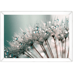 Floral 37 - Quadro com Moldura - Preto, Marrom, Rústico ou Branco