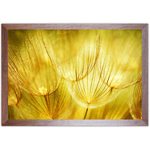 Floral 38 - Quadro com Moldura - Preto, Marrom, Rústico ou Branco