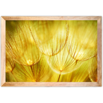 Floral 38 - Quadro com Moldura - Preto, Marrom, Rústico ou Branco