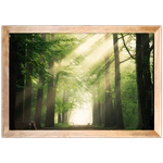 Paisagem 05 - Quadro com Moldura - Preto, Marrom, Rústico ou Branco