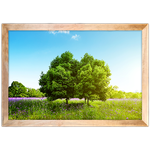 Paisagem 07 - Quadro com Moldura - Preto, Marrom, Rústico ou Branco