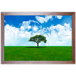 Paisagem 08 - Quadro com Moldura - Preto, Marrom, Rústico ou Branco