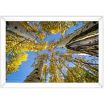 Paisagem 12 - Quadro com Moldura - Preto, Marrom, Rústico ou Branco