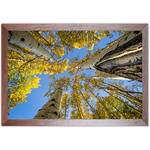 Paisagem 12 - Quadro com Moldura - Preto, Marrom, Rústico ou Branco