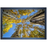 Paisagem 12 - Quadro com Moldura - Preto, Marrom, Rústico ou Branco