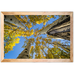 Paisagem 12 - Quadro com Moldura - Preto, Marrom, Rústico ou Branco