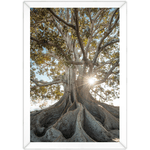 Paisagem 13 - Quadro com Moldura - Preto, Marrom, Rústico ou Branco