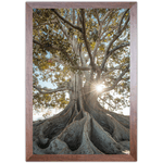 Paisagem 13 - Quadro com Moldura - Preto, Marrom, Rústico ou Branco