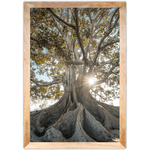 Paisagem 13 - Quadro com Moldura - Preto, Marrom, Rústico ou Branco