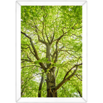 Paisagem 14 - Quadro com Moldura - Preto, Marrom, Rústico ou Branco