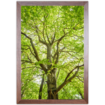 Paisagem 14 - Quadro com Moldura - Preto, Marrom, Rústico ou Branco