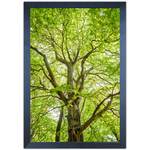 Paisagem 14 - Quadro com Moldura - Preto, Marrom, Rústico ou Branco