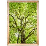 Paisagem 14 - Quadro com Moldura - Preto, Marrom, Rústico ou Branco