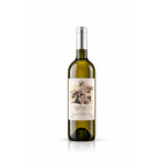 Arneis 2024 | Vinho Fino Branco Seco