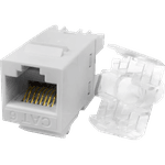 CONECTOR RJ-45 FEMEA CAT.6A Branco