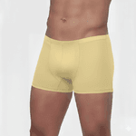 Cueca Rian