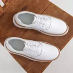7707 Branco Alaska Gelo