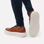 2802 Castor Everest Gelo