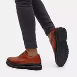 2204 Castor Katar Preto