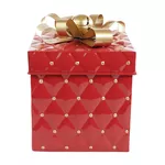 Jogo 2 Cx De Presente Decorativa Vermelha Laço Dourado Natal
