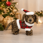 Cachorro em Pé Marrom Roupinha Xadrez e Óculos 32cm