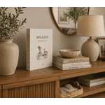 Livro Caixa Holland Beautiful Views Luxo Decoração