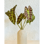 Galho Folhagem Artificial P Decoração Alocasia Real Toque Verde Outono