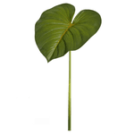 Haste Folha Homalomena Real Toque Verde Outono 75cm