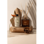 Refil Difusor Terra Do Sol Água De Coco Lenvie 200ml
