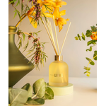 Difusor De Perfume Vanilla Bloom Patbo Lenvie 200 Ml