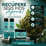 Kit Up Treat Duetto Recuperação Capilar Hidratação Profunda Com Rosa De Jericó Reconstrução 