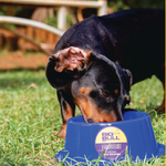 Comedouro Premium anti-formiga 400ml