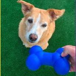 Osso Porte Médio - Big Bull Pet