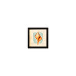 Quarteto - Quadro 20x20 - Conchas