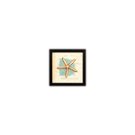 Quarteto - Quadro 20x20 - Conchas