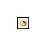 Quarteto - Quadro 20x20 - Conchas
