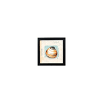 Quarteto - Quadro 20x20 - Conchas